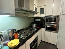 Holland Hill Park (D10), Condominium #464248671
